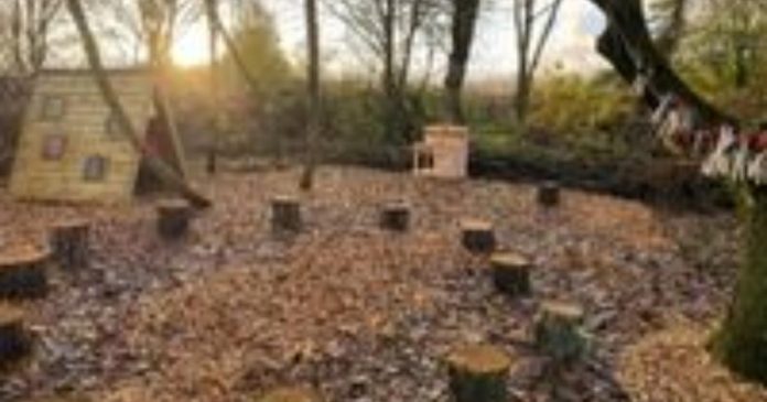 opengraph.jpg Nature-inspired half-term fun in Welshpool